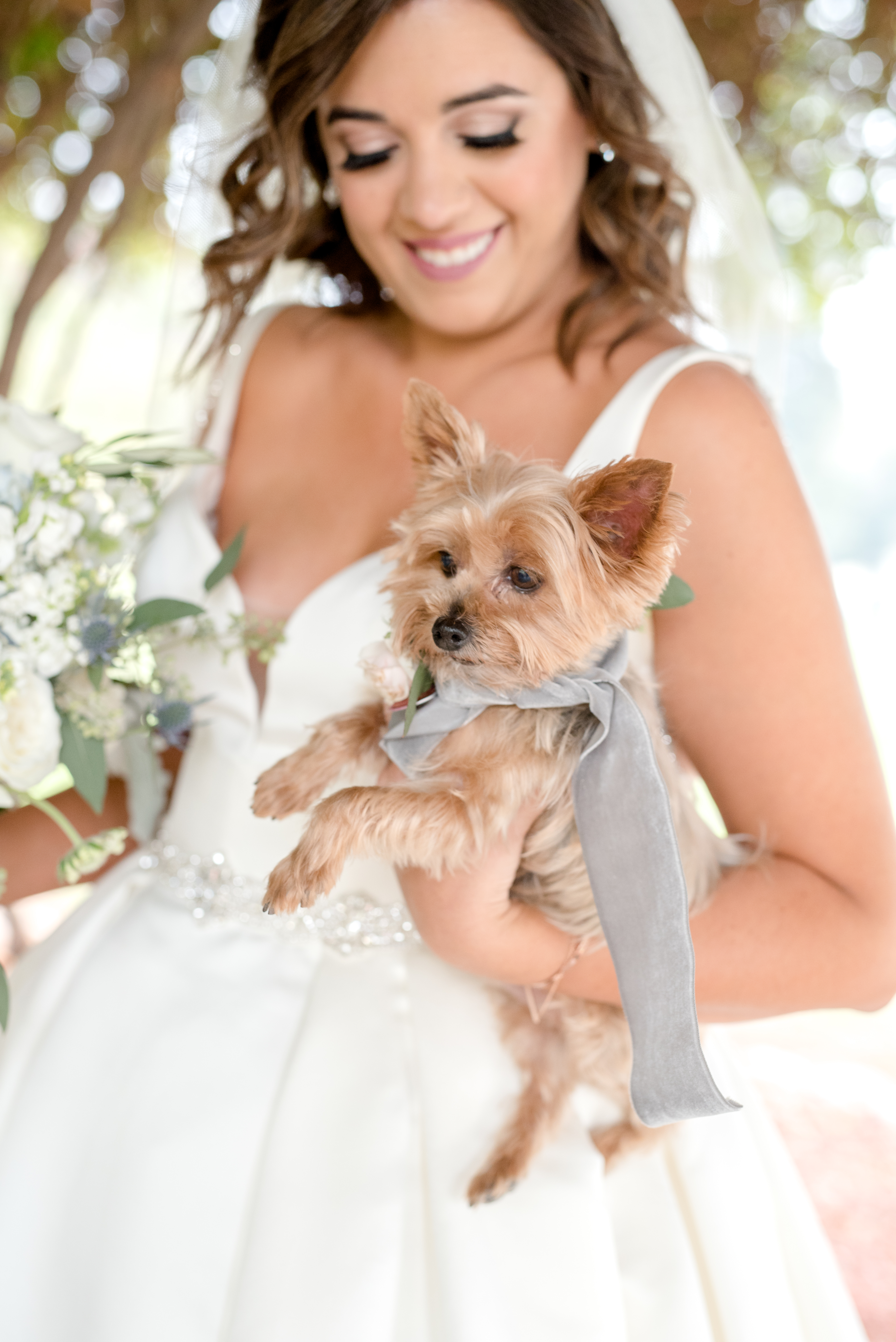 How To Bring Your Dogs To Your Wedding